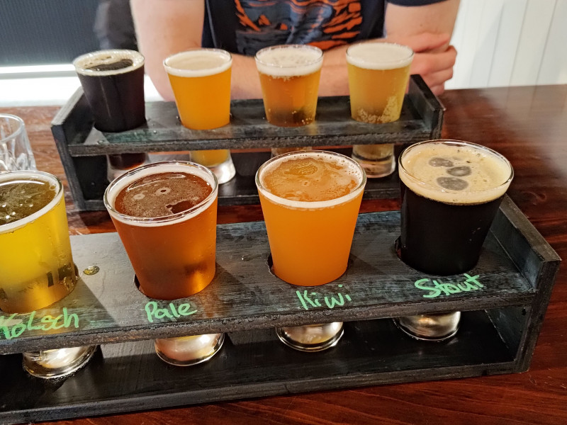 House of Hop - Charlotte Schreiber