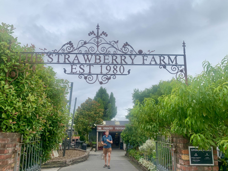 Strawberry Farm - Alan Overson